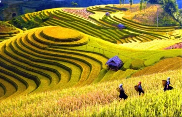 Sa Pa