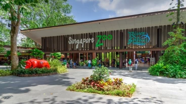 Sở thú & Safari đêm Singapore