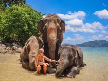 Elephant Beach