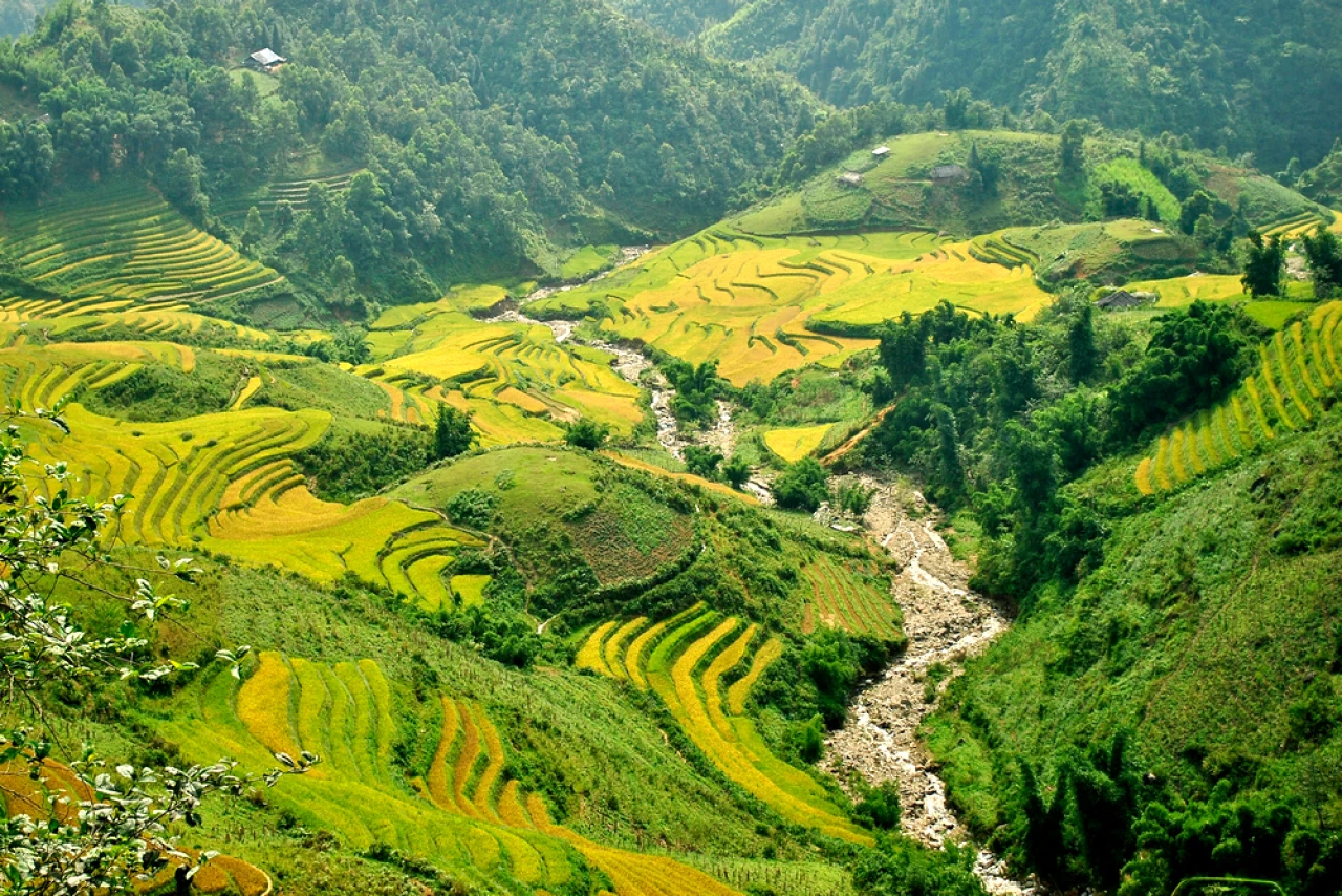 Hanoi - Halong Bay - Sapa - Danang - Bana Hill - Hoi An - Dalat - Ho Chi Minh