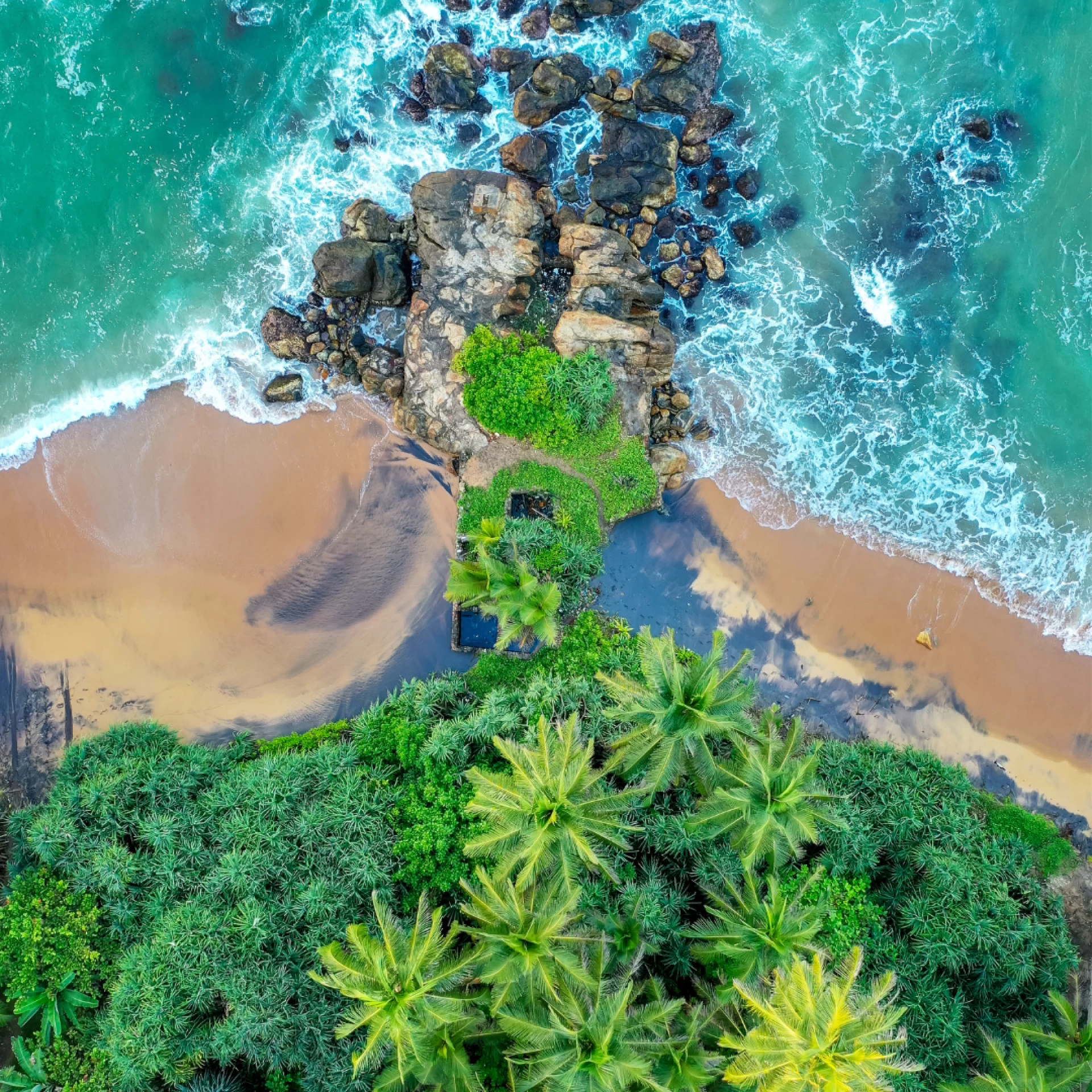 7 Days Tour Package Sri Lanka KANDY DAMBULLA TRINCOMALEE ELLA COLOMBO