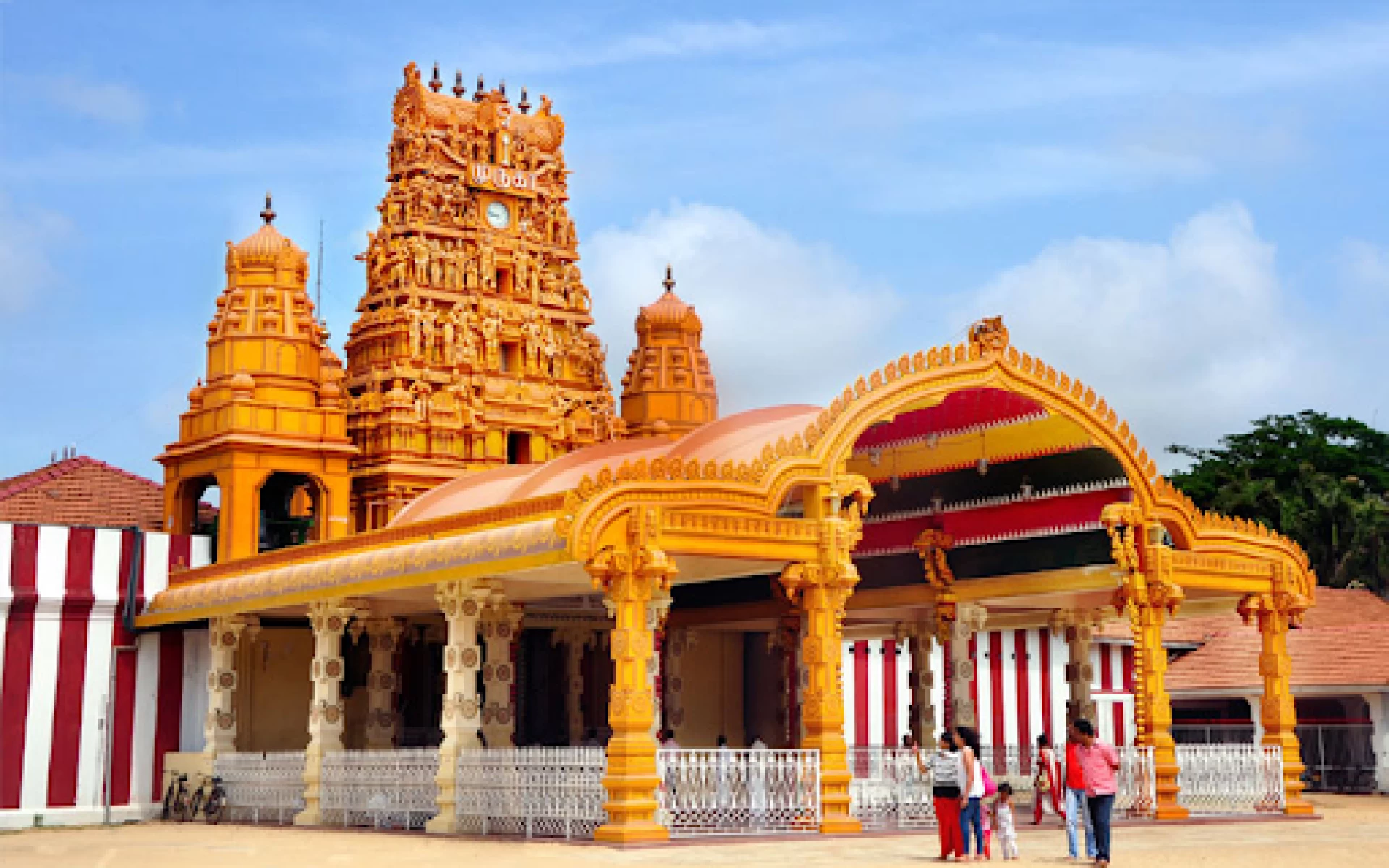 6 Days Tour Package Sri Lanka DAMBULLA SIGIRIYA POLONNARUWA KANDY NUWARA ELIYA COLOMBO