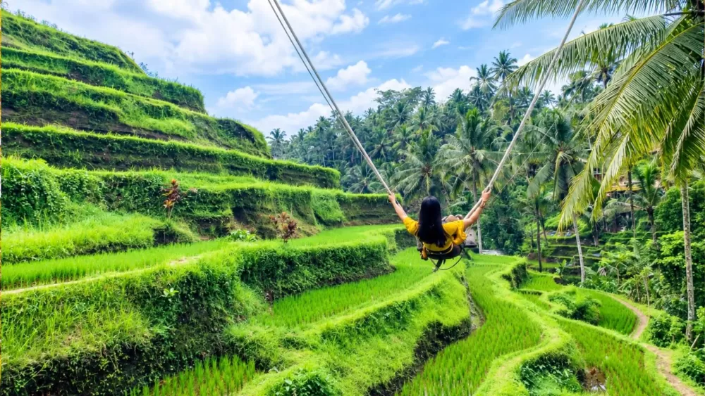 Swing Ubud