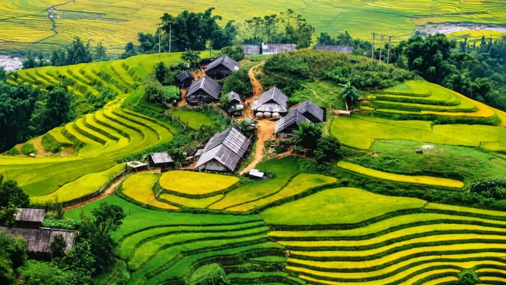 Vietnam Travel Services: The Invisible Infrastructure Behind Exceptional Travel Experiences