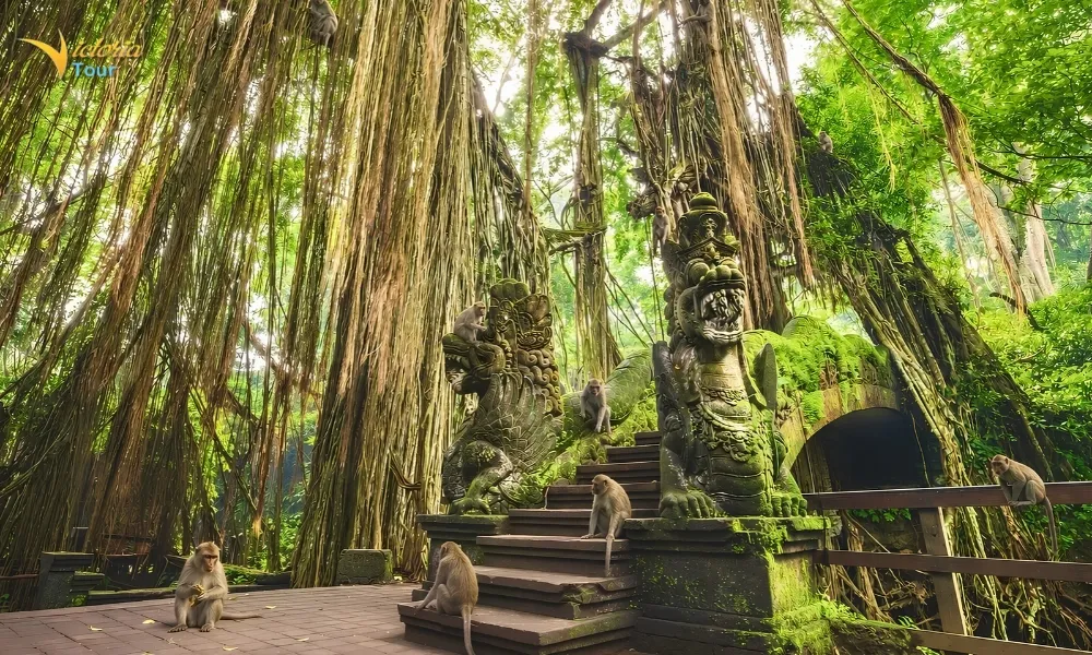 Ubud