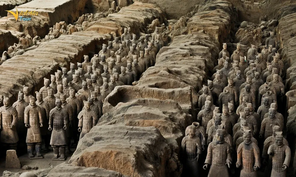Terracotta Warriors