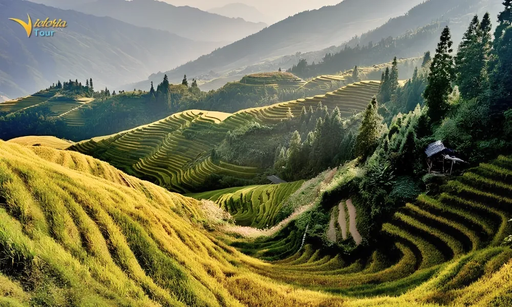 Longji Rice Terraces