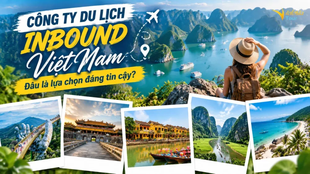 Công ty du lịch inbound Việt Nam: Đâu là lựa chọn đáng tin?