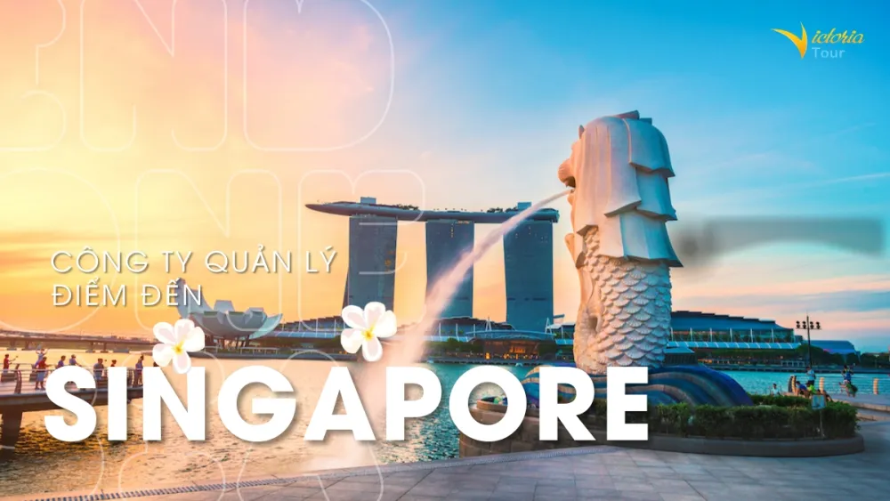 DMC Singapore: Giải Pháp Tour Và Dịch Vụ Cho Đối Tác B2B