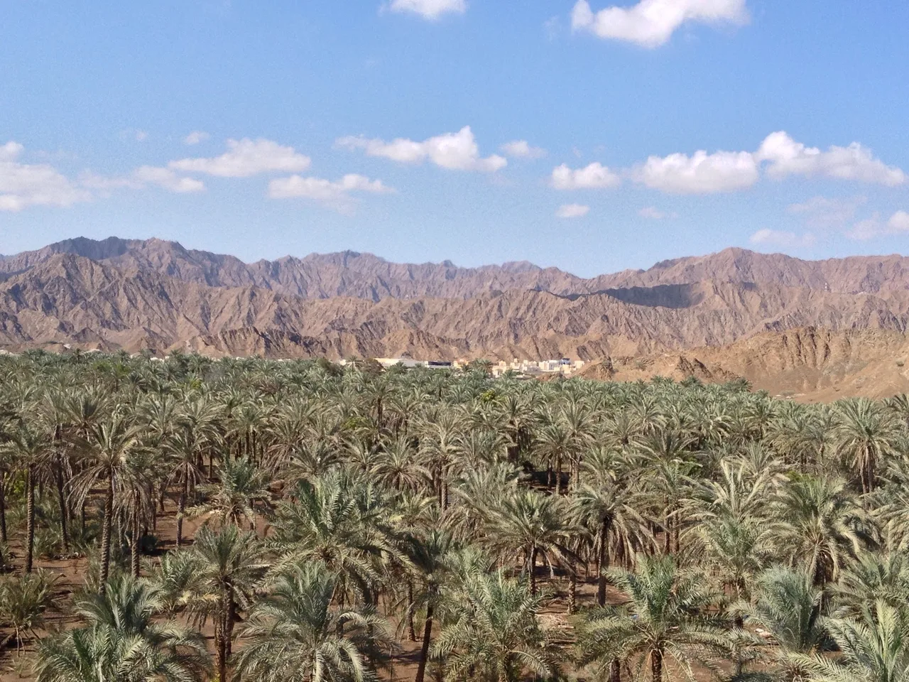 Fujairah & the East Coast