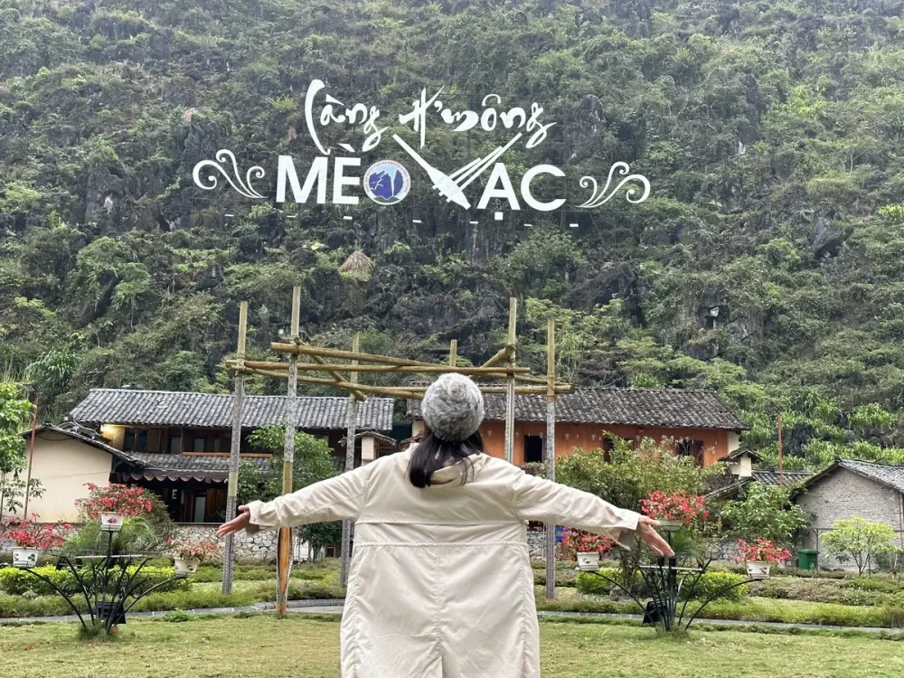 Meo Vac