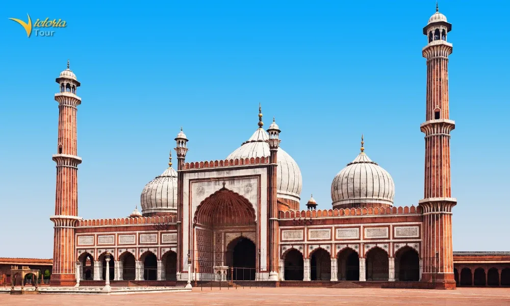 India 8-Day Tour: Delhi - Agra - Ranthambore - Jaipur