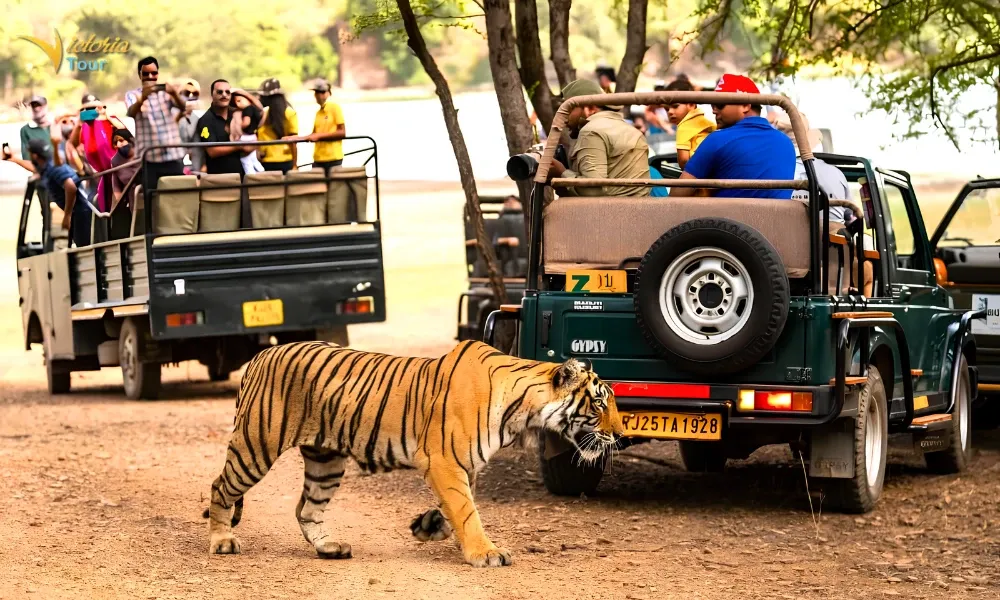 Ranthambore National Park