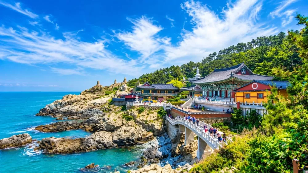 Busan - Seoul Discovery Journey: 5 Days, 4 Nights