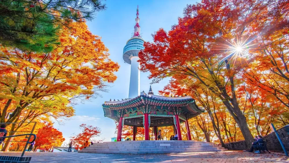SEOUL – NAMI – EVERLAND 5 days 4 nights