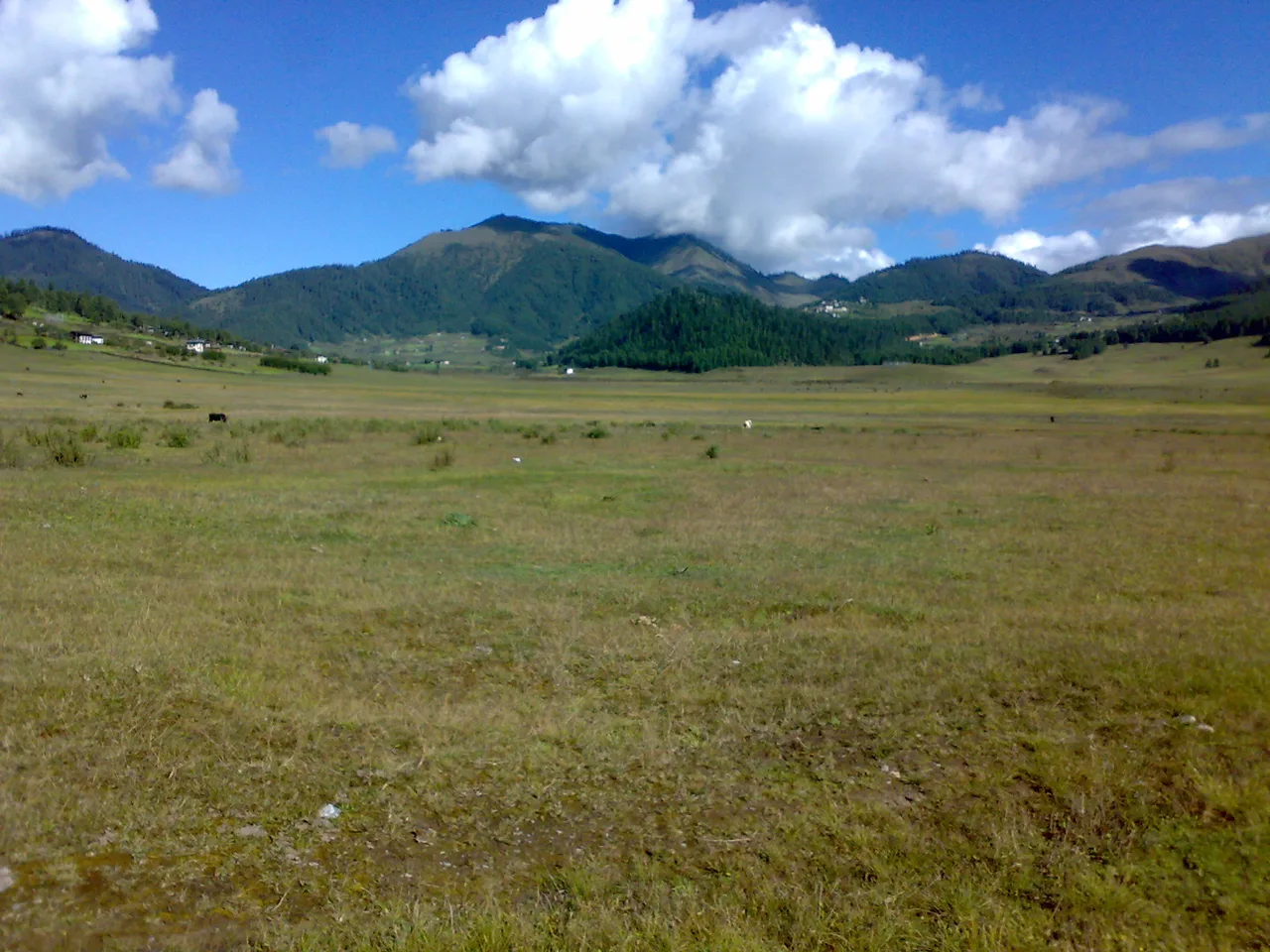 Phobjikha Valley