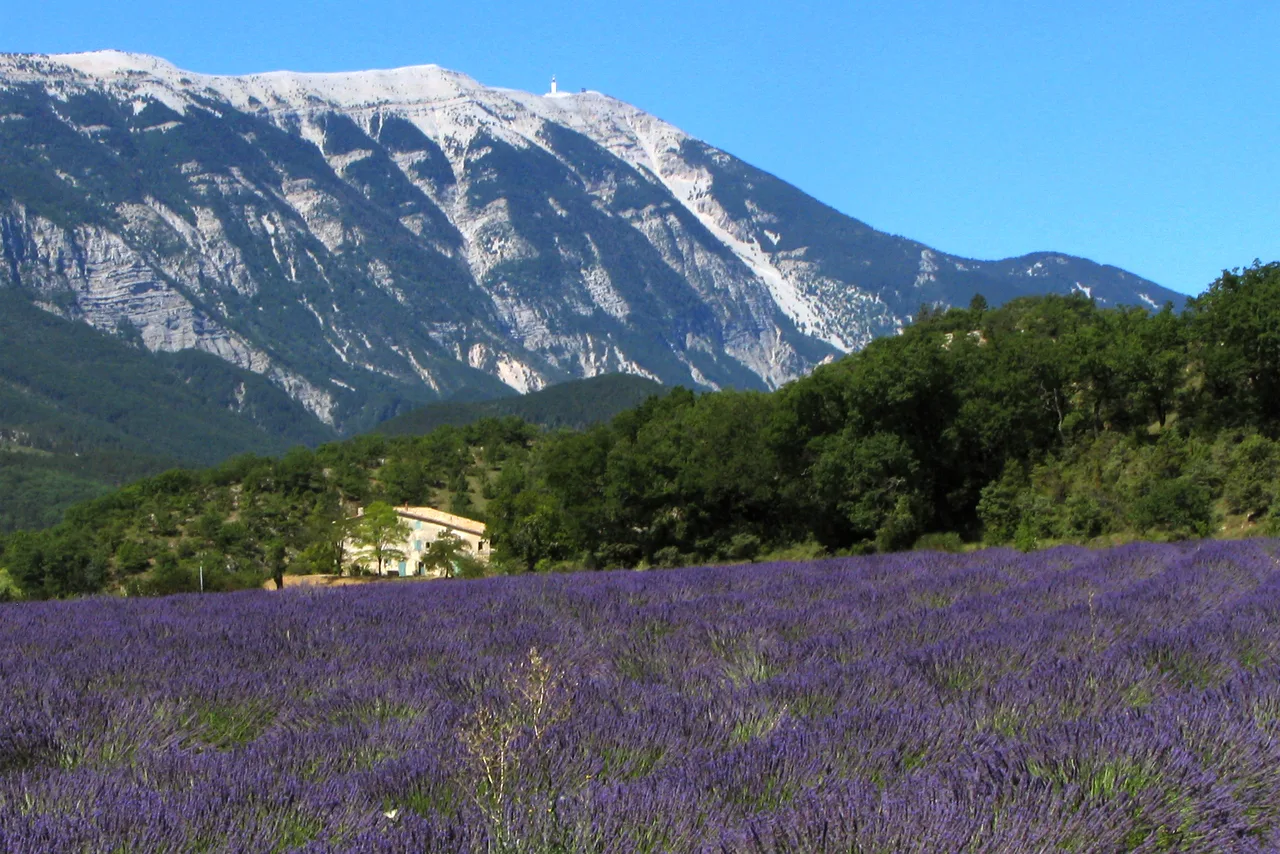 Provence & Avignon