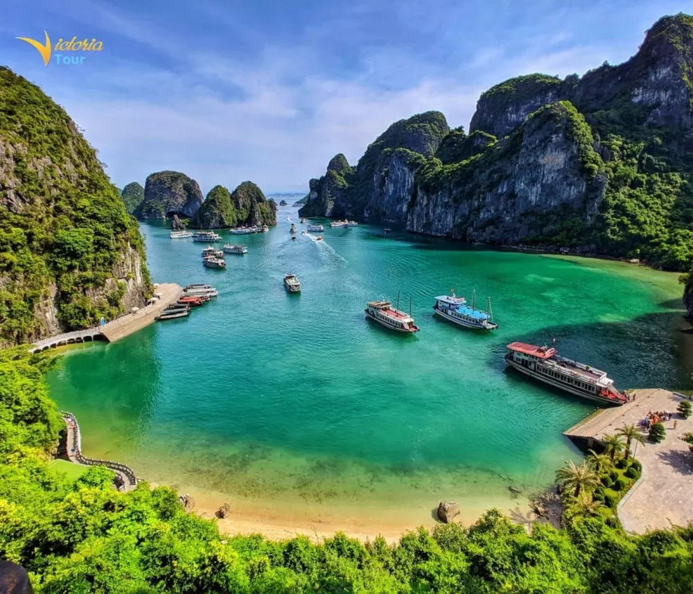 Halong Bay Tour for Foreigners: Timeless Beauty