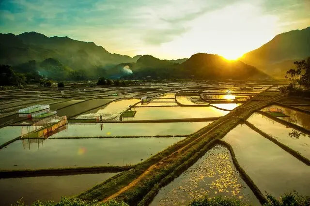Mai Chau