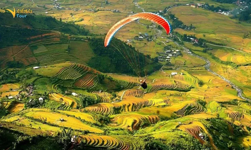 Mu Cang Chai