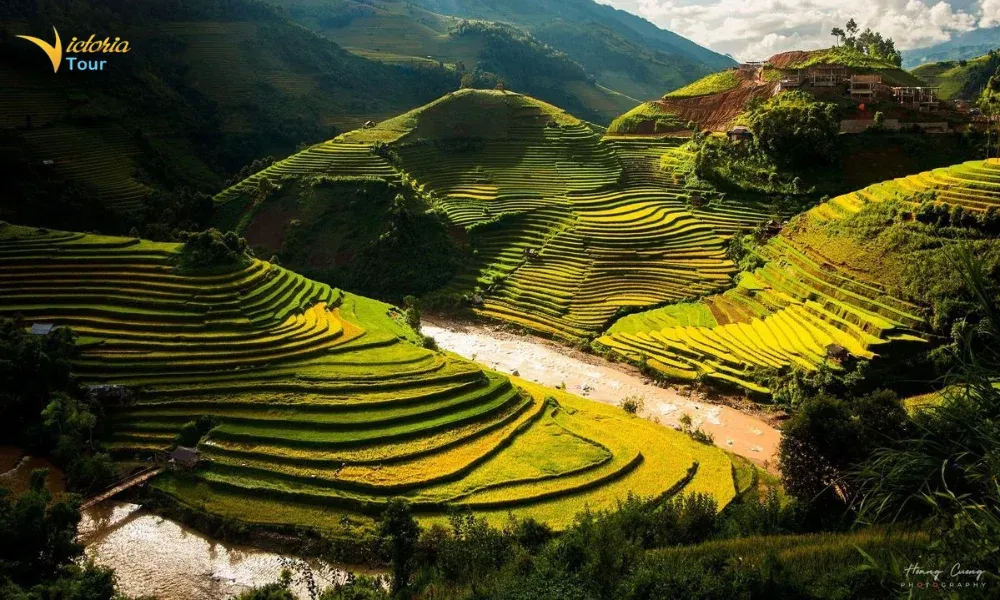 Vietnam 6-Day Tour: Dien Bien - Sapa - Mu Cang Chai - Hanoi