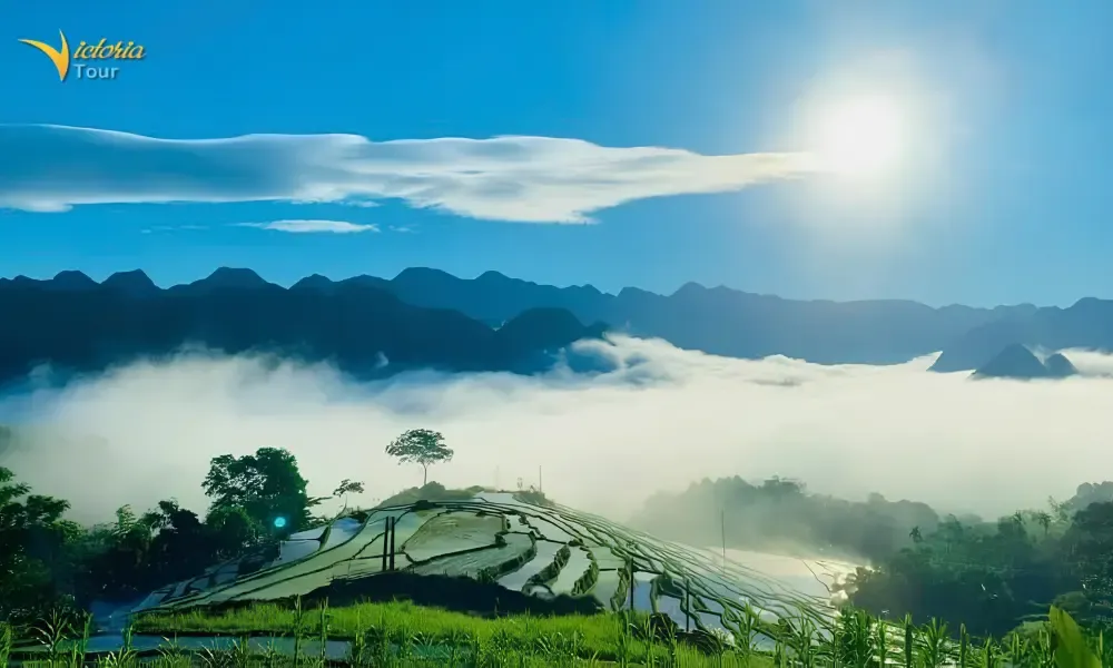 Pu Luong Nature Reserve