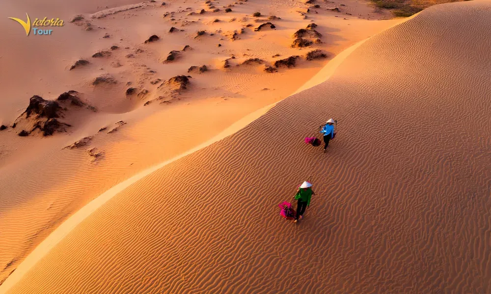 Vietnam 6-Day Tour: Ho Chi Minh City - Mui Ne - Nha Trang