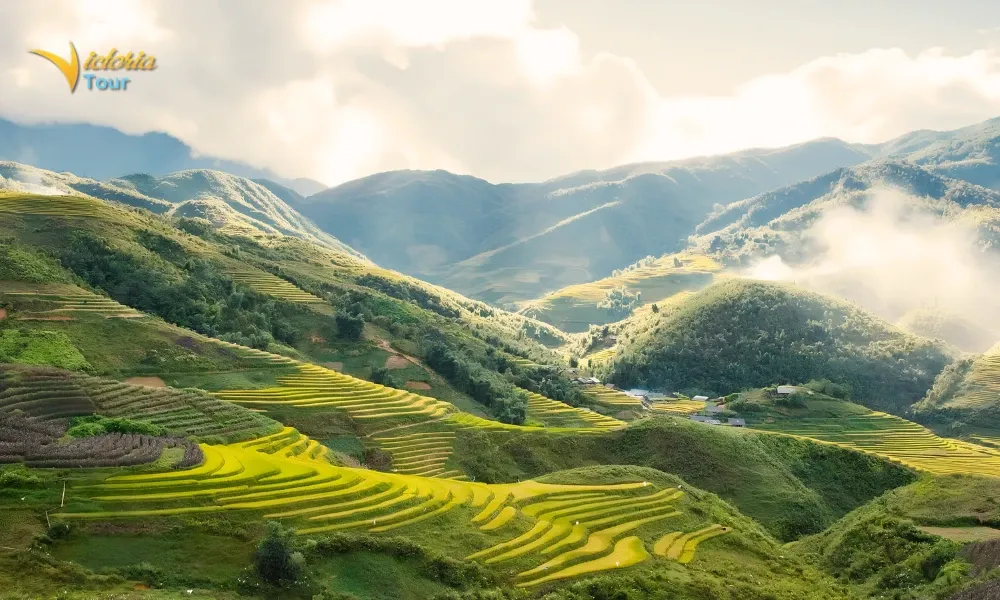 Vietnam Sapa Mountain Landscape