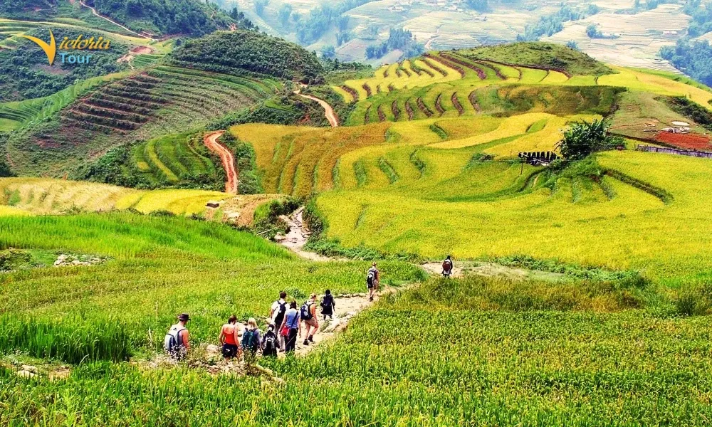 Travelers trekking along a mountain trail in northern Vietnam