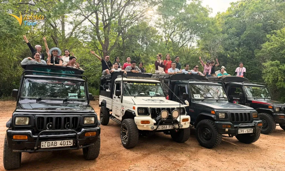 Đoàn khách tham gia hoạt động khám phá thiên nhiên bằng xe jeep tại Sri Lanka.