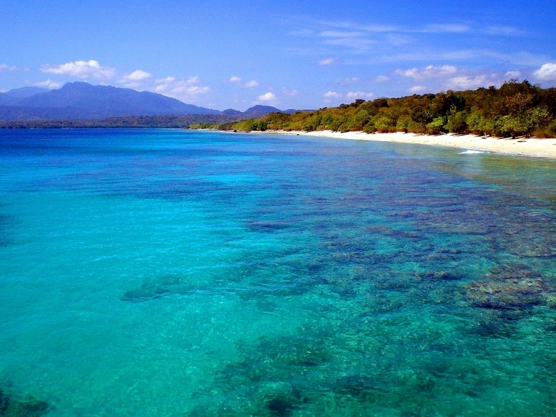 Bien Bali