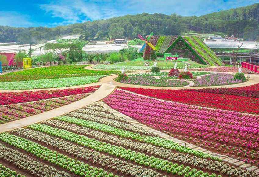 Fresh Garden Da Lat