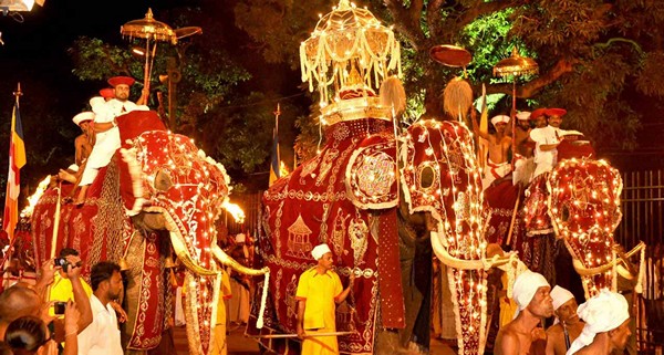 Lễ hội Phật giáo Esala Perahera hoành tráng ở Sri Lanka